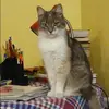 Отзыв от Олеся Парфенова